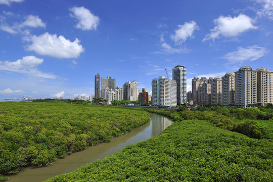 淡水新台北市城市风景与自然景观