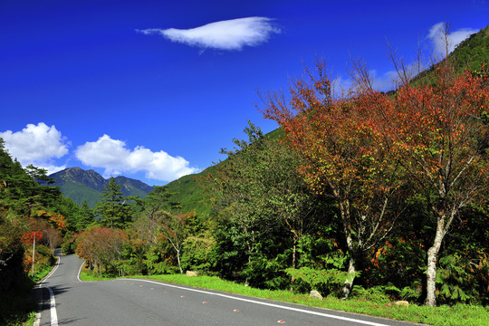 台湾台中陶山公路风景照