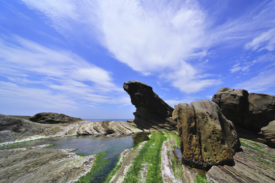 台湾海豹岩