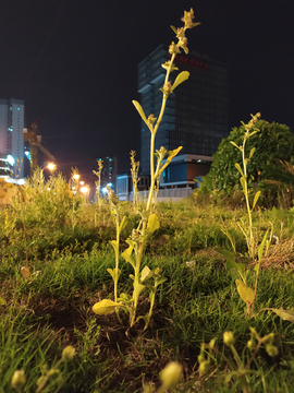 福州夜景