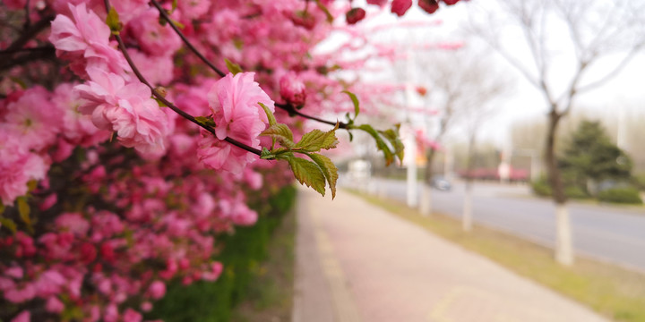 街景