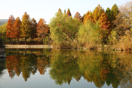 中国矿业大学