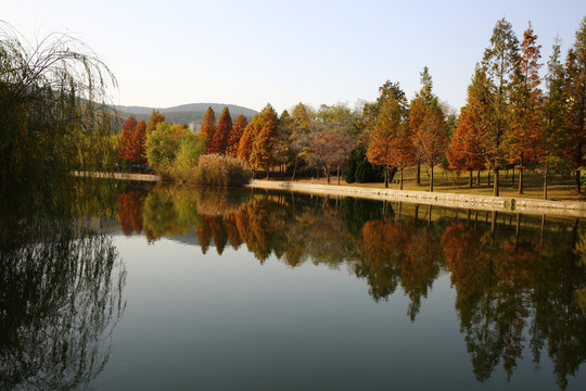 矿业大学