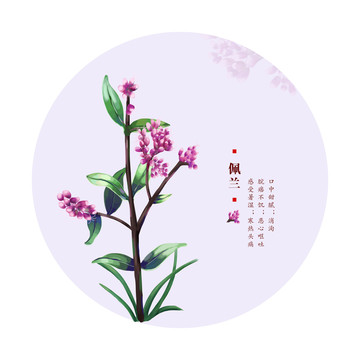 佩蘭