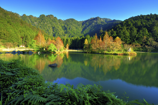 台湾明治国家森林游憩区
