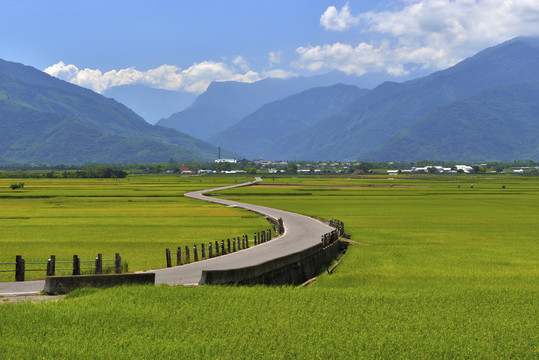 台湾布朗大道