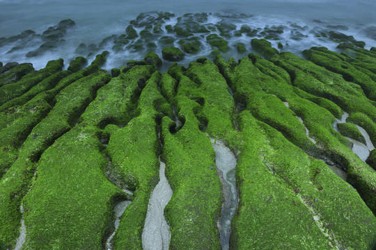 台湾老美绿礁