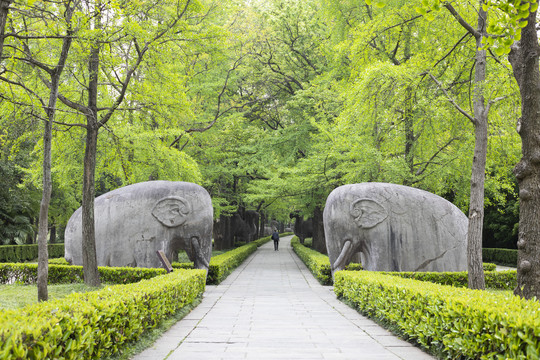 春天里的明孝陵石像路神道