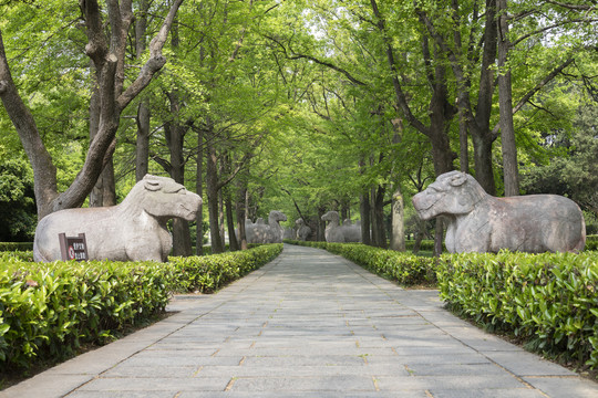 春天里的明孝陵石像路神道