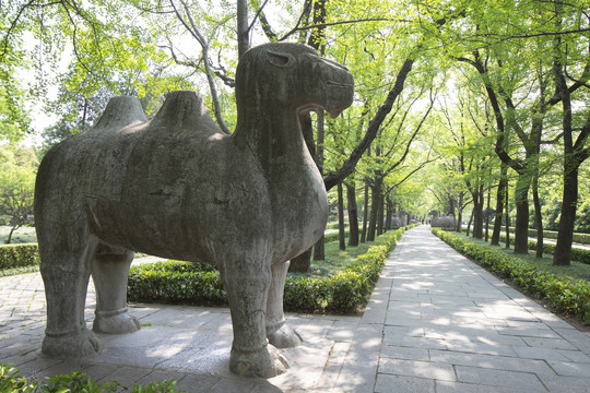 春天里的明孝陵石像路神道