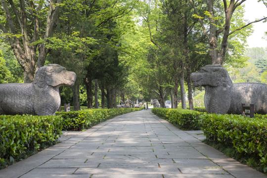 春天里的明孝陵石像路神道