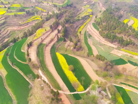 陇南山区梯田