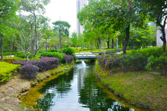 小桥流水