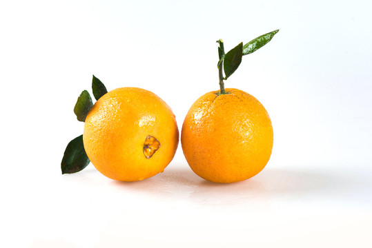 新鲜水果脐橙高清特写