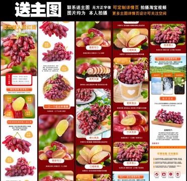 美人指紅提詳情