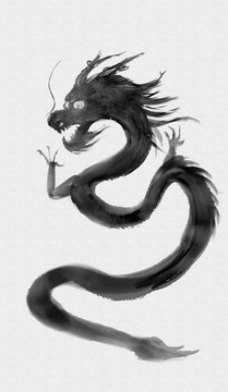 中國(guó)風(fēng)水墨龍