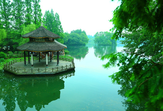 杭州西湖茅家埠景区