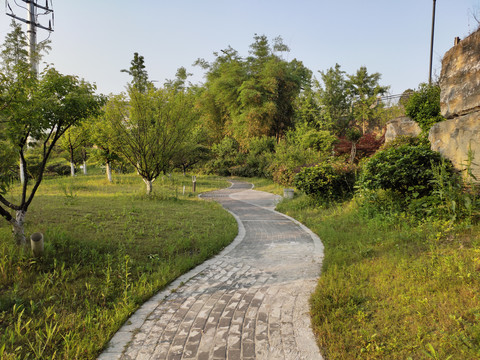 公园绿植与健康步道