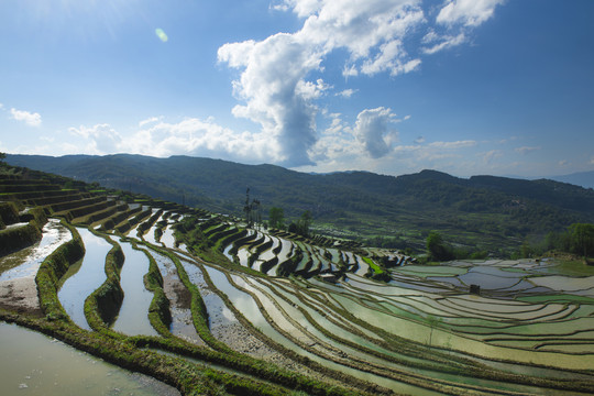 元阳梯田