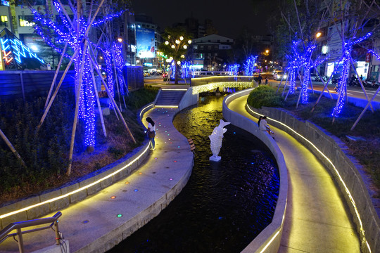 台湾公园夜景