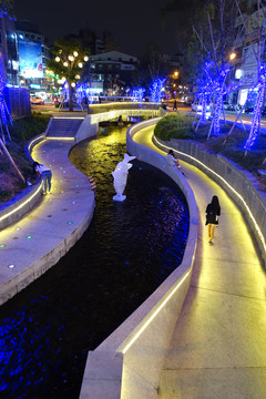 台湾公园夜景