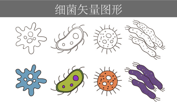 细菌图形