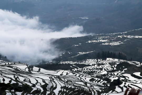 元阳梯田