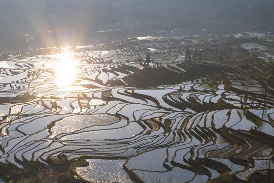 元阳梯田