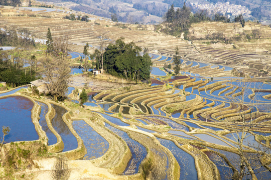 元阳梯田