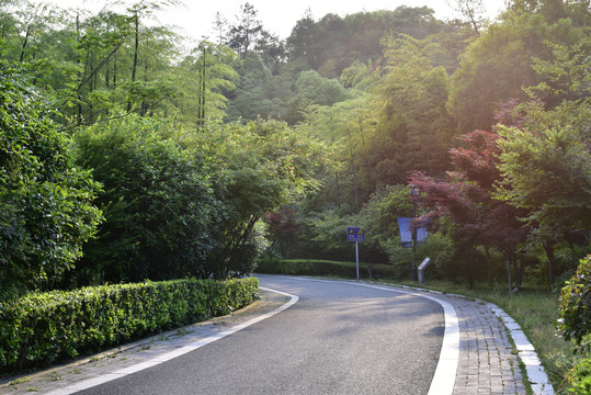 林间公路