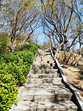 青岛太平山