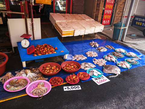 韩国釜山的海鲜摊位