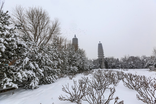 中国山西太原市2020初雪永祚