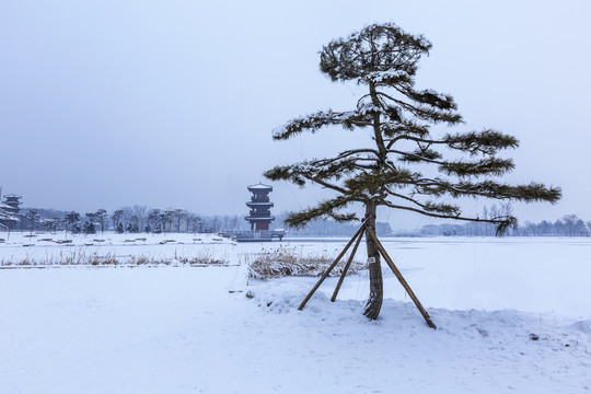 晋祠博物馆景区雪后风光