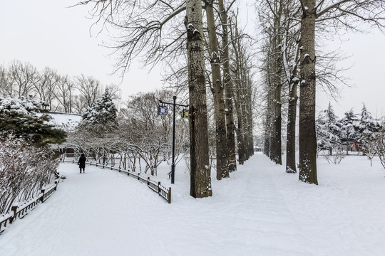 晋祠博物馆景区雪后风光