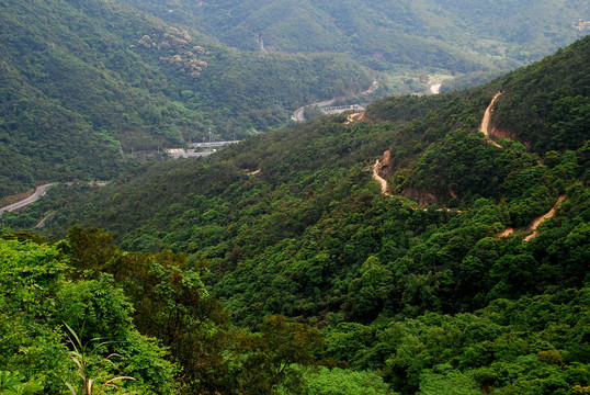 崎岖的山路