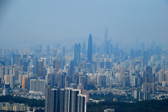 深圳市区全景