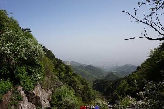 泰山与孔庙