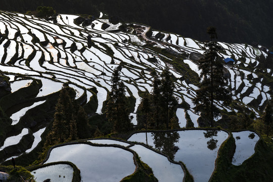 加榜梯田