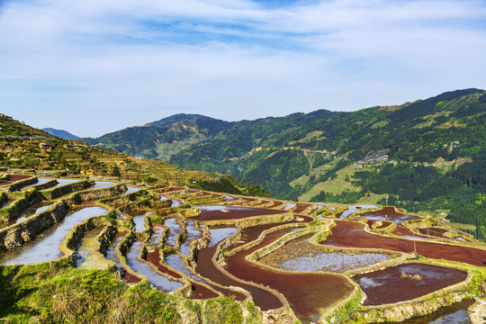 加榜梯田