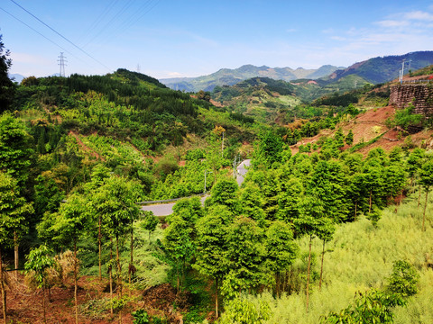 退耕还林山地