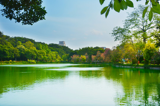 湖景