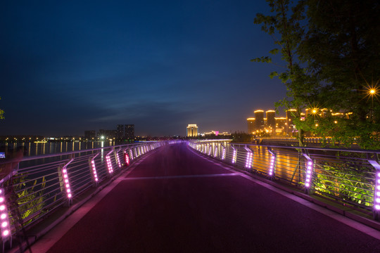 桥上夜景