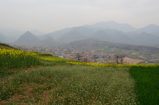 山王村