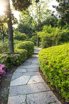 公園小道