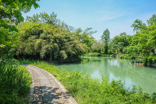 西溪湿地