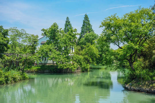 西溪湿地