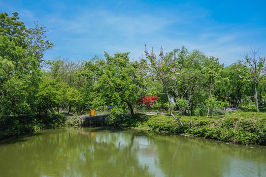 西溪湿地