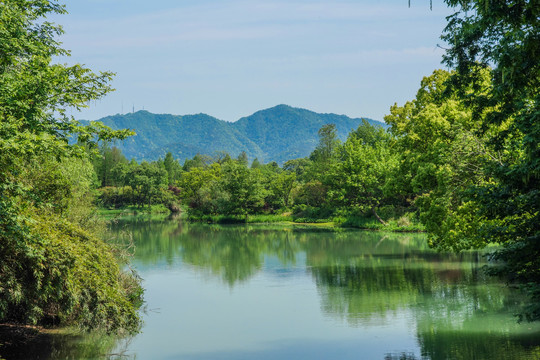 西溪湿地