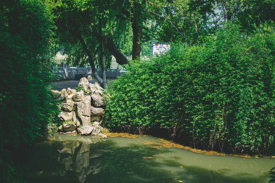 九江甘棠公园